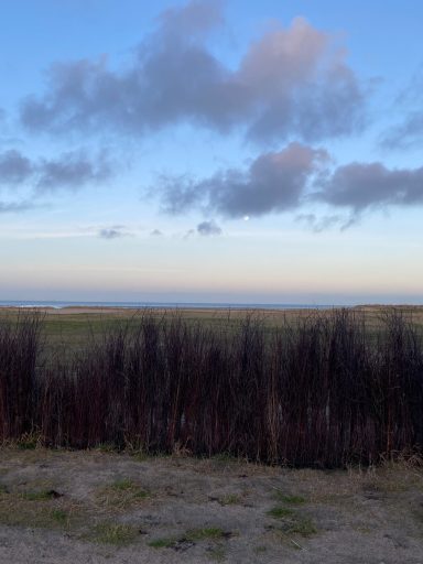 Küstenlandschaft mit Sträuchern im Vordergrund und einem Himmel voller Wolken.